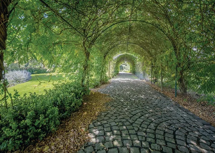 Awesome In With Kitchen Prázdninový dům *