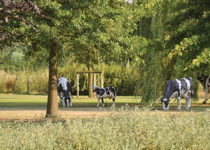 Prázdninový dům Awesome In With Kitchen Kessel (Limburg)