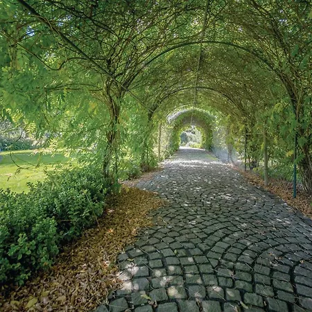 Awesome In With Kitchen Nyaraló *