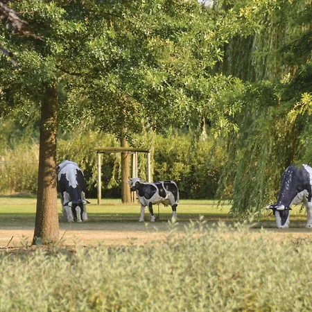 Nyaraló Awesome In With Kitchen Kessel